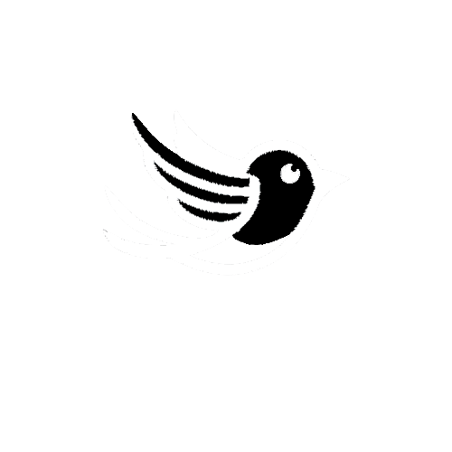 Flappy Bird Toys